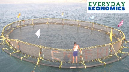 Interim budget mentions blue economy 2.0: What this means