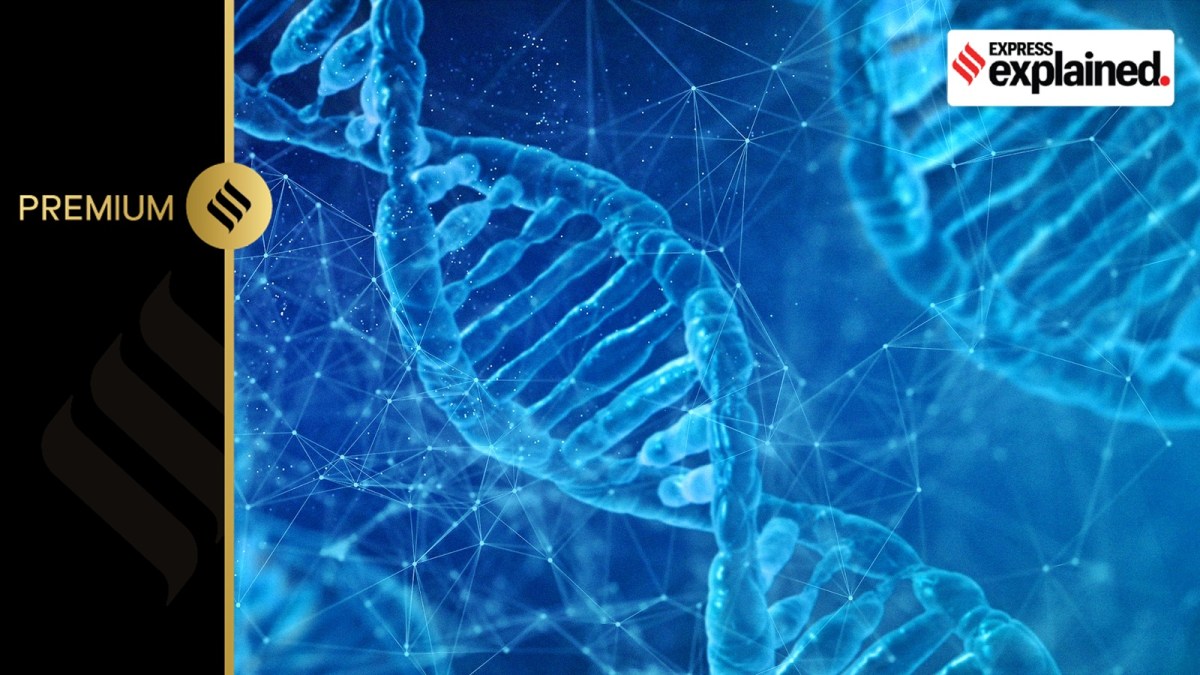 genetic makeup/representational.