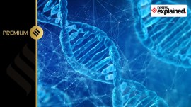 genetic makeup/representational.