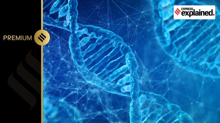 genetic makeup/representational.