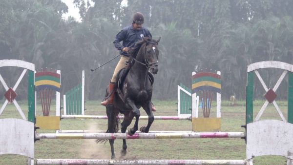 kolkata mounted police