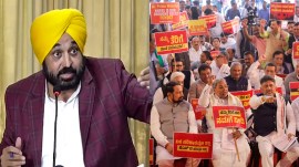 punjab, bhagwant mann, siddaramaiah protest in delhi, indian express