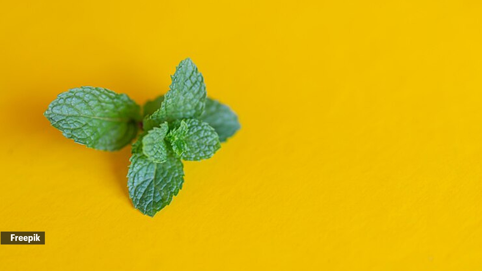 What happens to your body if you eat mint leaves or pudina every day?