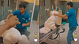 thane dog video, Mumbai dog assault video, dog assaulted in Mumbai pet clinic, Mumbai dog assault video, Mumbai news, Mumbai animal activist, Indian Express news, India news, today news