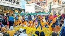 Nizamuddin dargah, Basant Panchami celebrations, Nizamuddin dargah celebration of spring, delhi monument, delhi news, India news, Indian express, Indian express India news, Indian express India