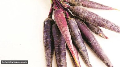 purple carrots