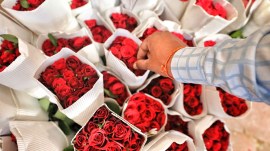 Roses India export demand