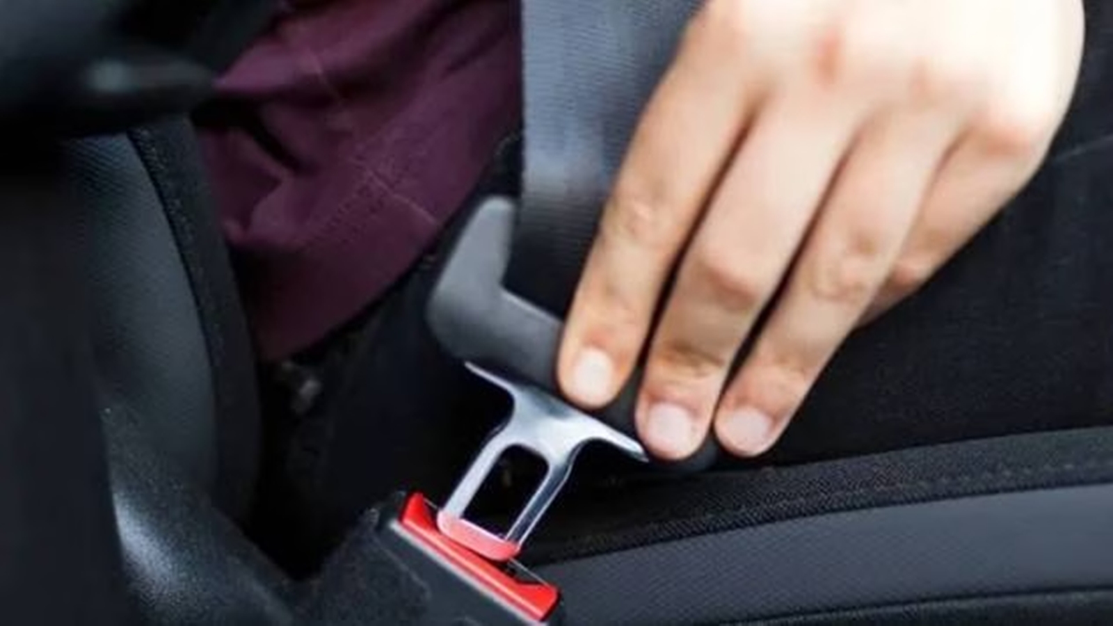 Punjab makes rear seat belts mandatory