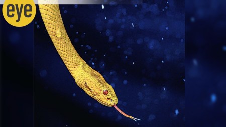 Smriti Ravindra, Prettier than Gold, Deepu and Mother