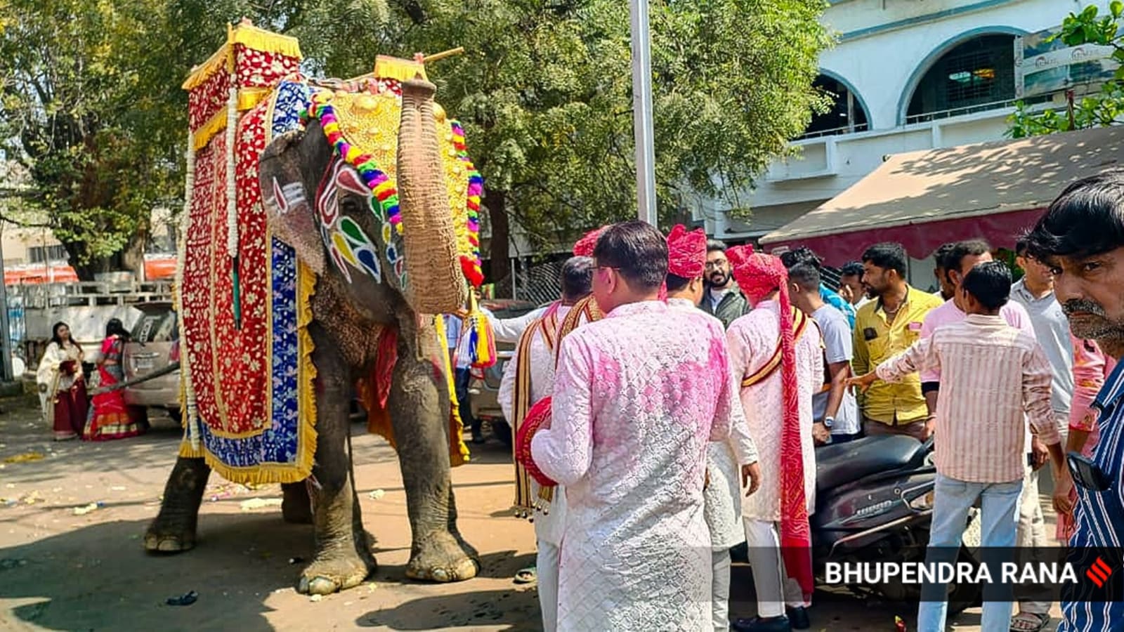 vadodara jain procession elephant
