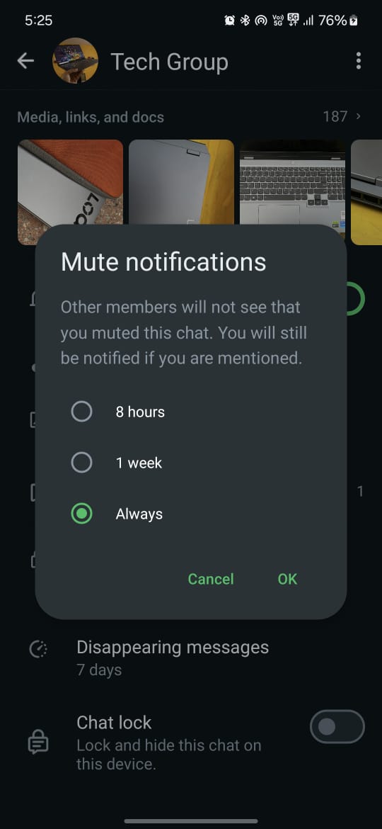 whatsapp mute notifications