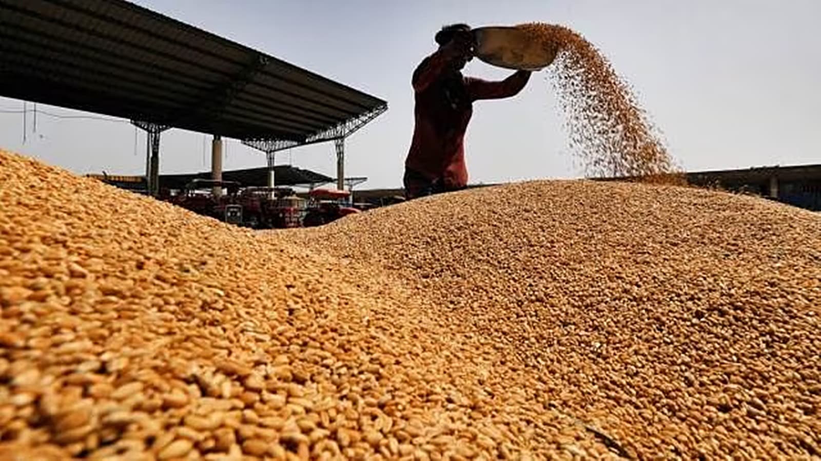 Govt’s 2nd advance estimate pegs wheat output at record 112 million tonnes in 2023-24 season