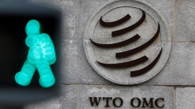 World Trade Organisation, trade dispute, WTO on trade disputes, 13th ministerial meeting in Abu Dhabi, dispute settlement mechanism, what is DSM, opinion, indian express news