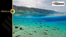 Water is disappearing from Mexico’s vital desert oasis Cuatro Cienegas A view shows the "Poza de la Becerra", a geological anomaly that scientists say can help them understand the origin of Earth, climate change and the chances of life on Mars, in Cuatro Cienegas, state of Coahuila, Mexico March 20, 2024.