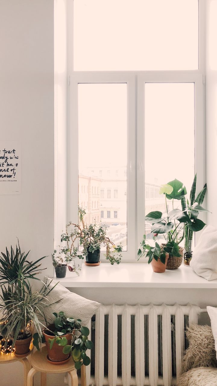 Add the touch of Japan to your home