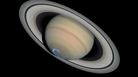 Artistic illustration of auroras on Saturn. (NASA)