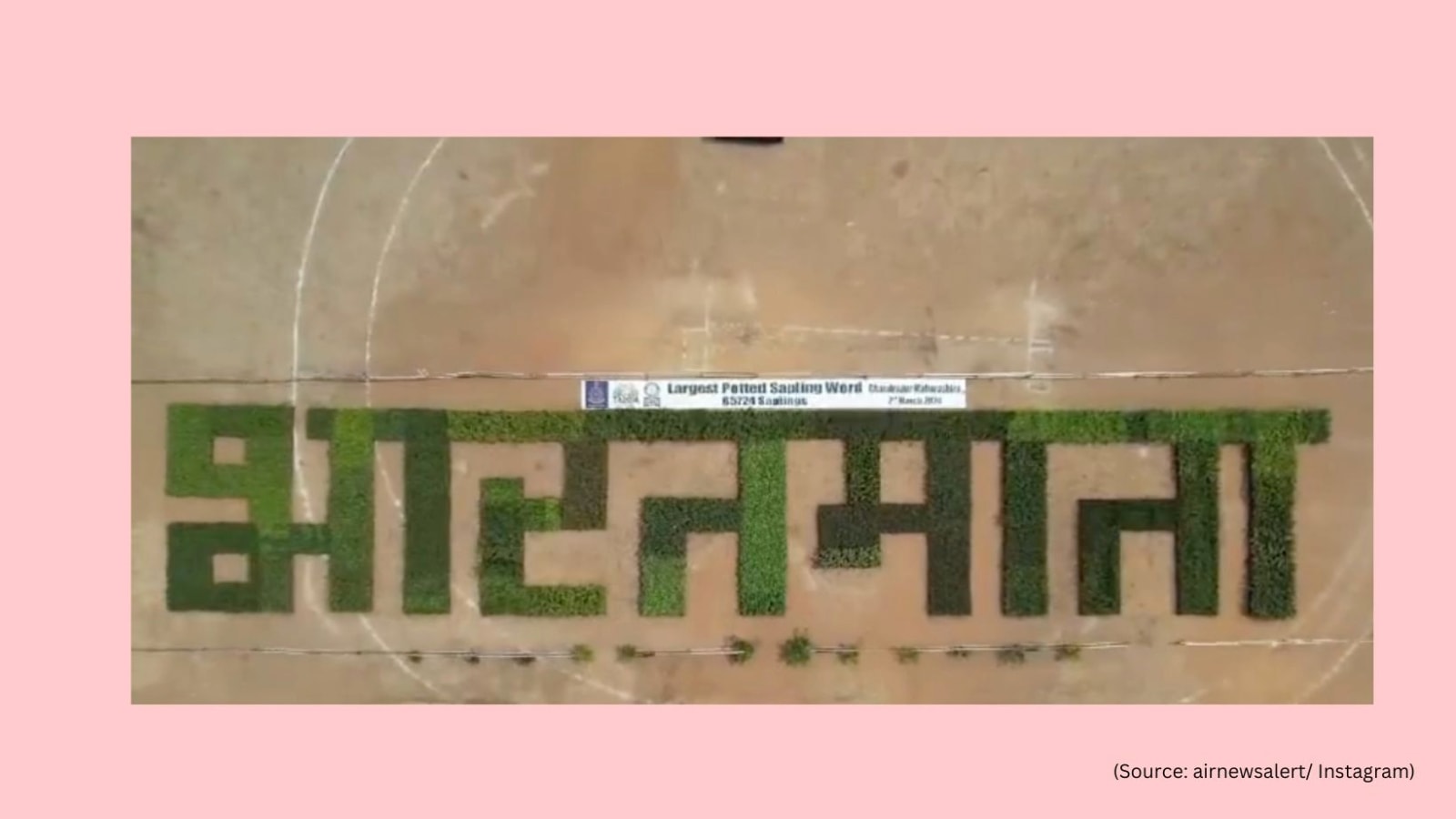 Maharashtra Forest Department sets world record