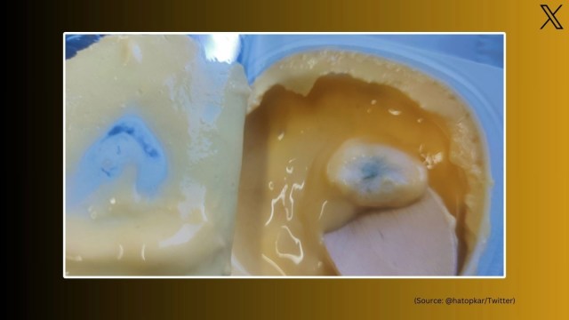 Passenger finds fungus in yoghurt served to him on Vande Bharat Express