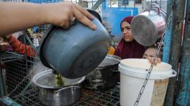 Gaza's hungry eat wild plant with no aid relief in sight