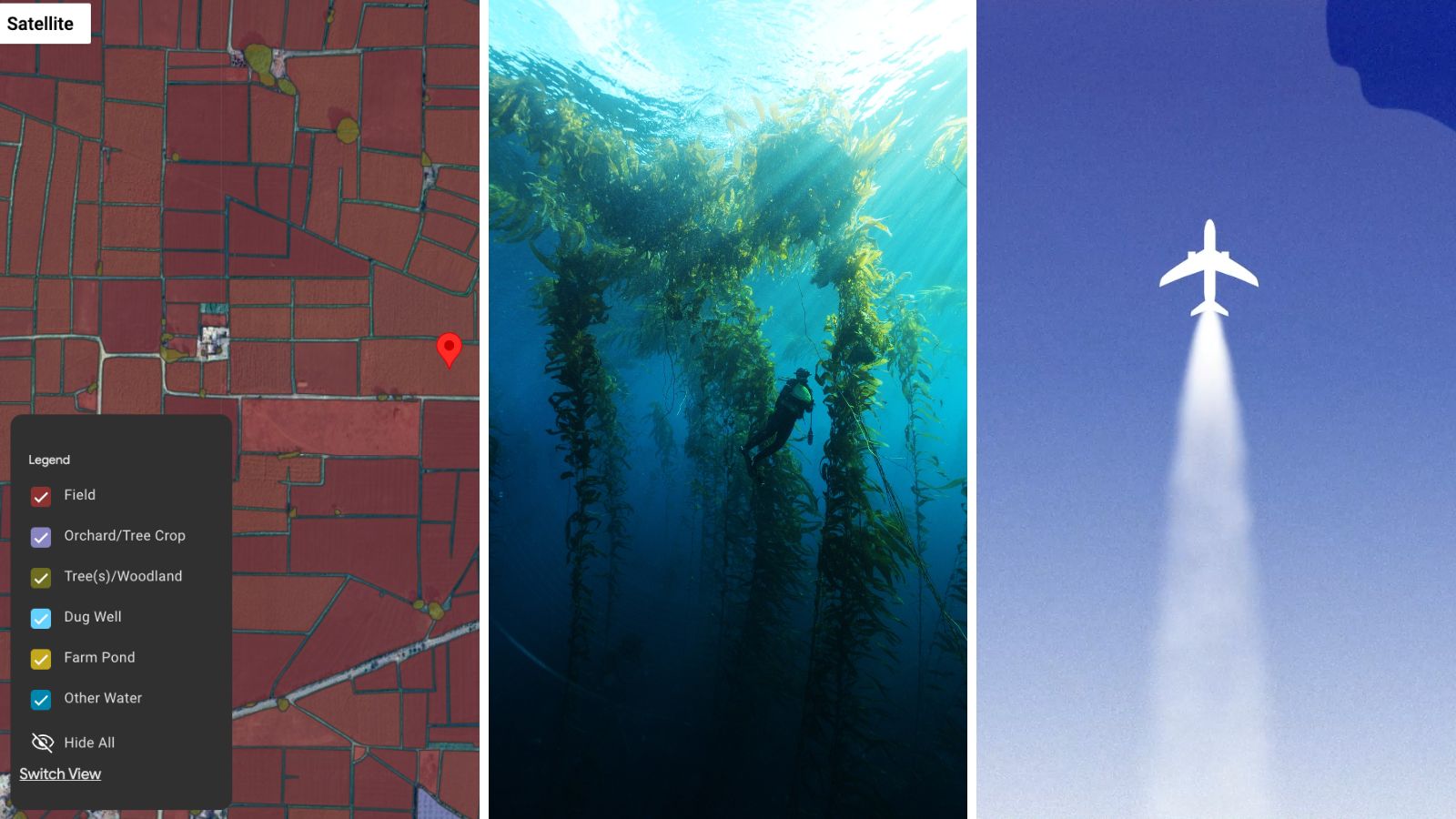 Google Open Environment How Google AI is helping the environment