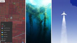 Google has embarked on its Google AI Now initiative with an objective of starting a conversation around the merits of AI for the environment. (Image: Google)