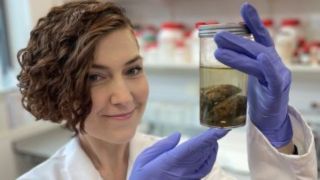 A researcher holding the preserved hemispheres of a 200-year-old brain. Image credit: Graham Poulter.