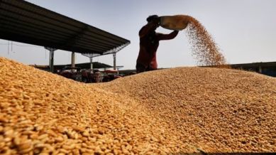 India mandates weekly reporting on wheat stocks to prevent hoarding