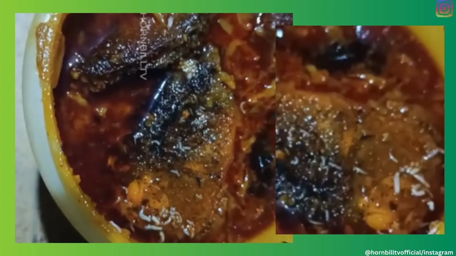 Watch: Customer finds live maggots in fish curry from Nagaland