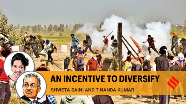 Future hikes should align with a broader vision for the country's agricultural production. Prioritising crops like millets, pulses, and oilseeds through aggressive MSP increases can bolster both nutritional security and climatic resilience.