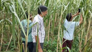 Satyukt Analytics uses advanced technology to combine data from multiple sources and interpret them for their customers, who are farmers. (Satyukt)