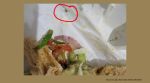 Zomato customer finds cockroach in sandwich