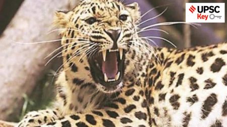 UPSC, upsc 2024, Upsc Prelims results, UPSC key terms, upsc news, upsc syllabus, UPSC KEY, Upsc Key terms, IAS current affairs, upsc Key Indian express, The Indian Express current Affairs, Is Indian Express Good for UPSC, upsc today news, upsc newspaper, Indian express today important news for upsc, Indian express monthly current affairs, What should I read in Indian Express for UPSC today, UPSC Answer Key, UPSC Online, IAS, IPS, upsc current affairs news, UPSC KEY News, UPSC Civil services news, UPSC Prelims 2023, UPSC Mains 2023, UPSC Mains 2023, UPSC Mains 2024, UPSC Prelims 2024, UPSC General Studies 1, UPSC General Studies II, UPSC General Studies III, UPSC General Studies IV, upsc, upsc mains 2023, UPSC mains answer writing, upsc GS paper 1, upsc mains GS paper 1, upsc geography, upsc history, gs paper 1, upsc, upsc mains 2023, UPSC mains answer writing, upsc gs paper 4, upsc mains gs paper 4, upsc ethics, gs paper 4, sarkari naukri, government jobs, Current events of national and international importance, History of India and Indian National Movement, Indian Heritage and Culture, History and Geography of the World and Society, Governance, Constitution, Polity, Social Justice and International relations, Technology, Economic Development, Bio diversity, Environment, Security and Disaster Management Ethics, Integrity and Aptitude, Indian Express UPSC Key, Upsc Indian Express, Rahul Gandhi, Congress, BJP, Narendra Modi, PM, Amit Shah, Home Minister, Arvind Kejriwal, AAP, Interim Budget, Fiscal, Nominal GDP, Real GDP, Nirmala Sitharaman, Interim Budget 2024, Farmers Protest, Article 142 of the Constitution, Definition of Forest and Semiconductor industry in India, Mayor election, Anil Masih, Maratha reservation, Global Initiative on Digital Health, forest, Forest (Conservation) Amendment Bill, semiconductor manufacturing, Article 142 of the Constitution, Fali Sam Nariman, Fair and Remunerative Price, India-Oman, Laser Cooling of Positronium, Sterlite Copper Plant, Elimination of kala-azar, Kiru Hydel Power Project, Household Consumption Expenditure Survey 2022-23, Assam Muslim marriage and divorce Act 1935, Data Protection, Rajya Sabha Elections, Temple Tax Bill and Women in Indian Armed Forces, One Nation-One Election project, AI’s unpredictable nature, India-South Africa, Immunity for MPs & MLAs, Critical Minerals, Status of Leopards in India