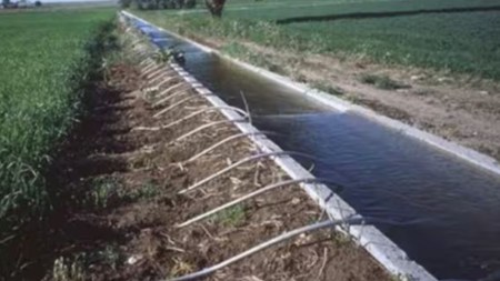 irrigation