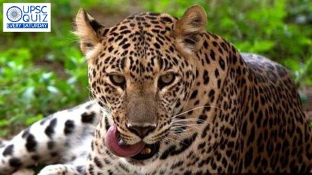 UPSC Weekly Current Affairs Quiz | February 25 to March 02, 2024