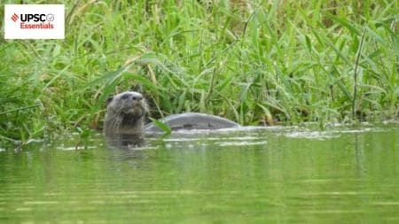 UPSC Daily subject-wise quiz — Environment, Geography, Science and Technology (Week 48)