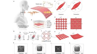 The researchers believe the technology can help people with vocal cord disorders. (Ziyuan Che et. al. via Nature)