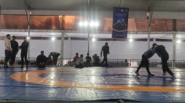 Wrestling (4) Wrestling