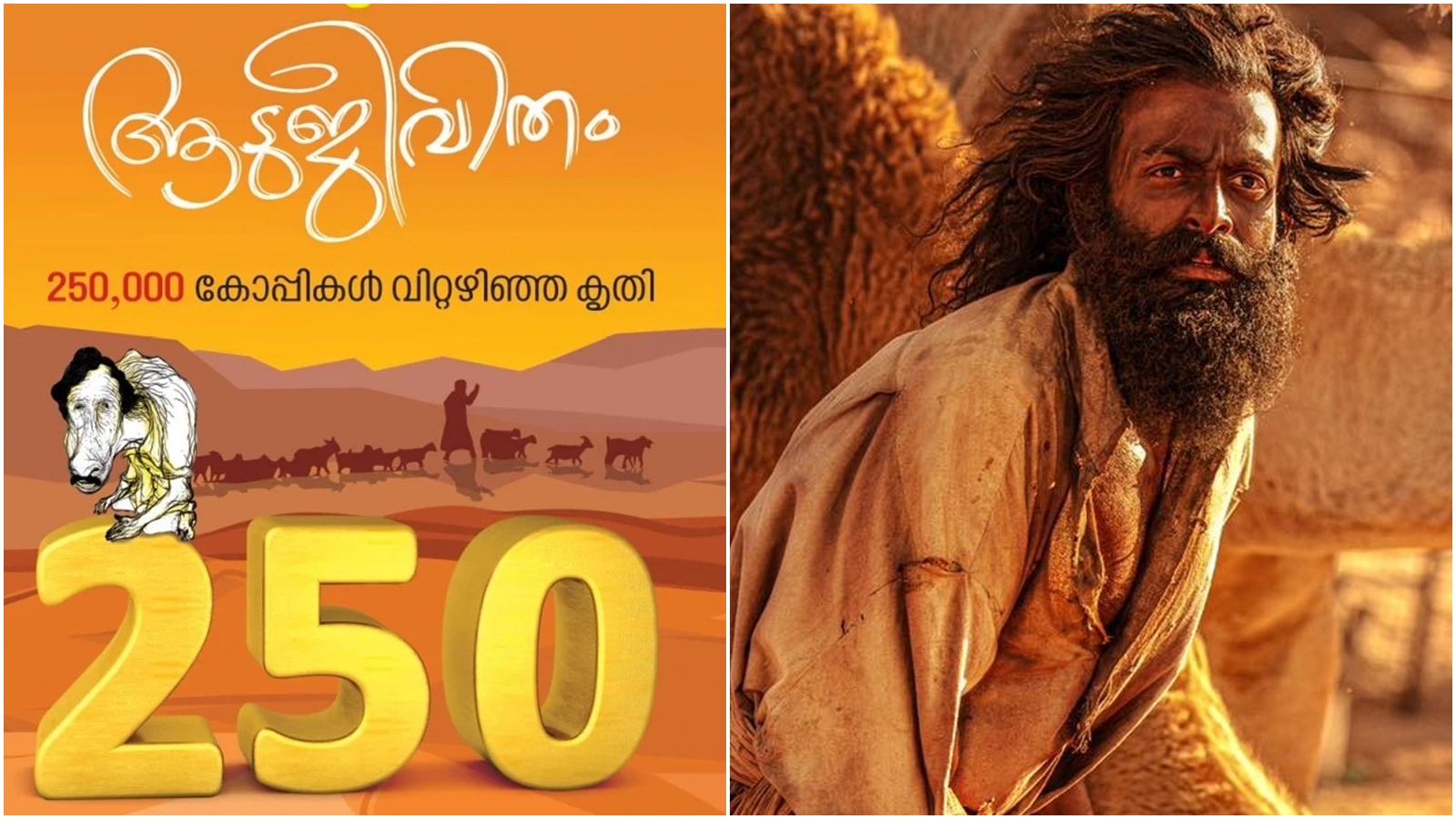 Exploring how Aadujeevitham remains a timeless novel and the major  challenges Blessy may have faced in its film adaptation | Malayalam News -  The Indian Express