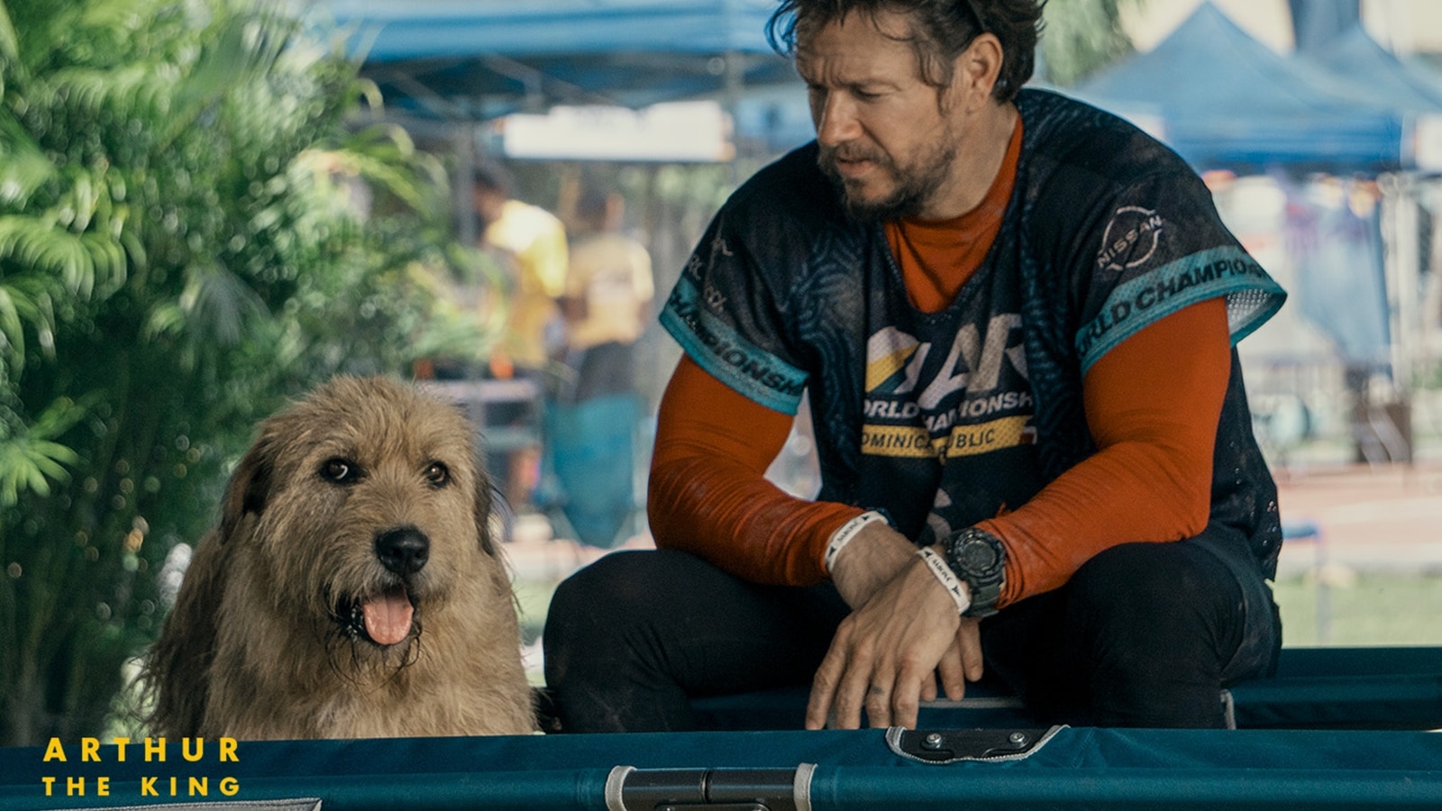 Arthur the King movie review: The Mark Wahlberg film does justice to ...