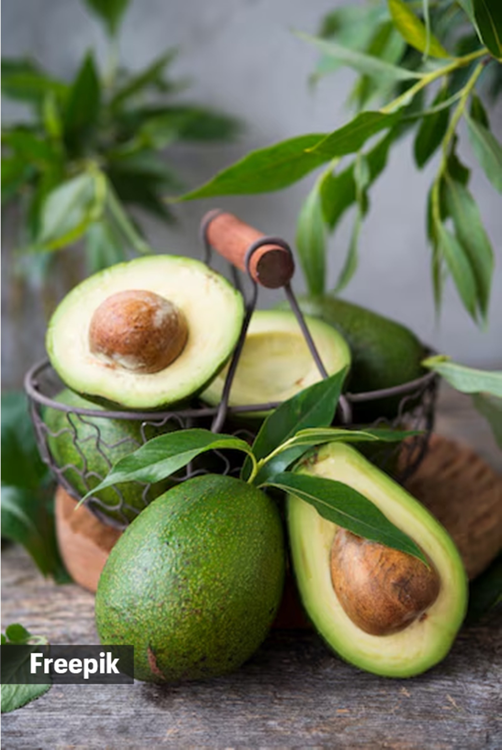 avocados, listeria, salmonella, food, disease, bacteria