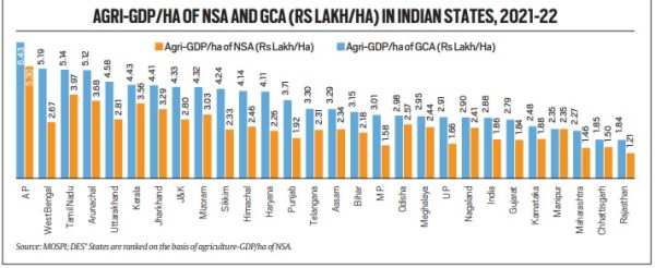 Minimum Support Price, MSP system in India, Punjab production basket, value added in agriculture, agriculture value creation, statewise agriculture value creation, Punjab rice productivity, agri GDP by NSA, Net Sown Area, agri GDP by GCA, Gross Cropped Area, agri-GDP per hectare, West Bengal, Tamil Nadu, opinion, indian express news