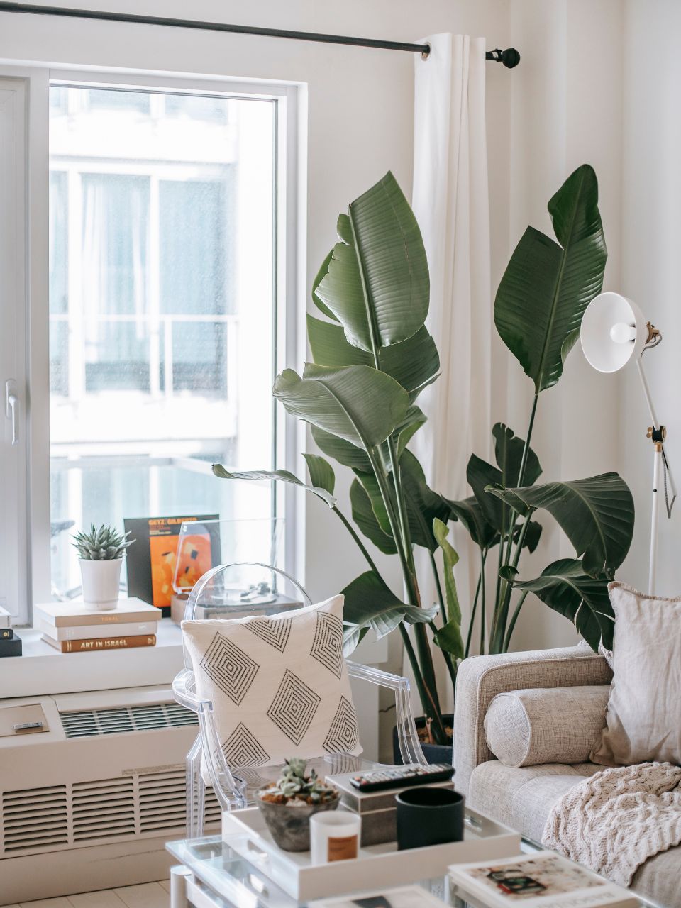 Home décor trends 'that will never go out of style' - Vimarsana News