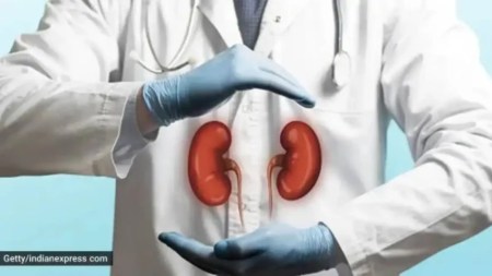 kidney health, kidneys