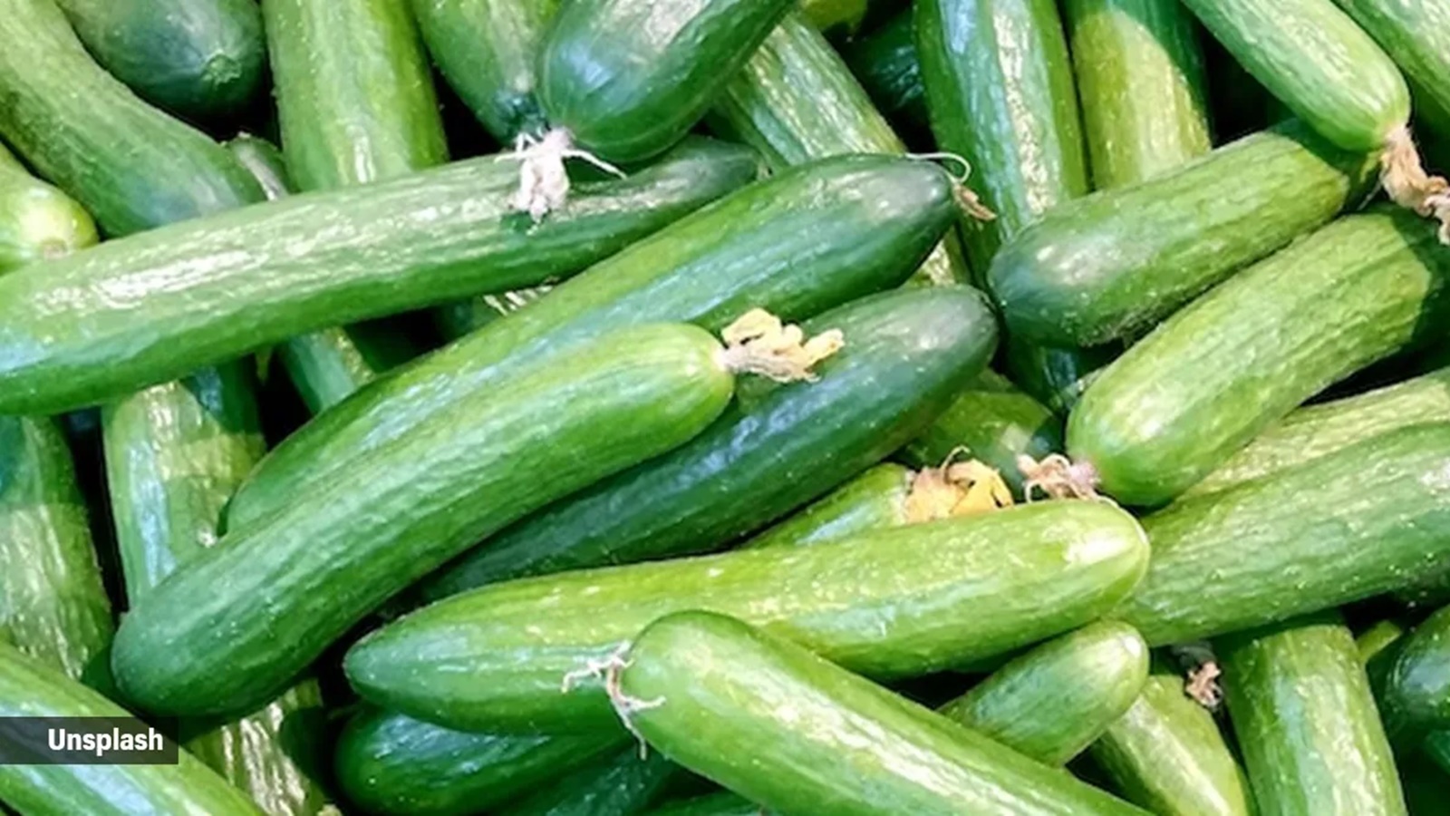 Why you should include cucumbers in your diet | Food-wine News