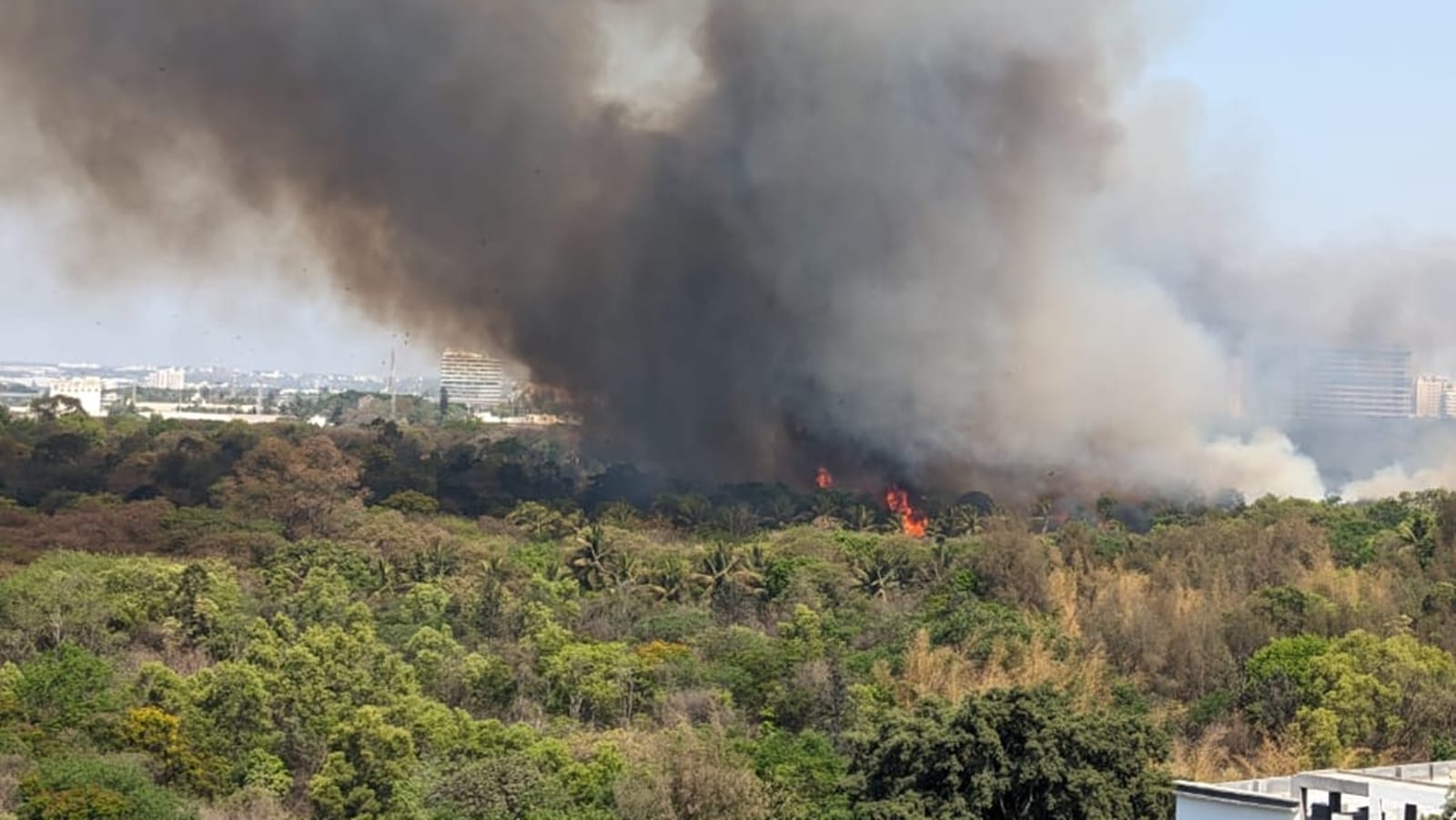 Bengaluru Fire, Kadugodi forest, Bengaluru Fire news, rescue operation, Fire Department, indian express news