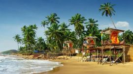 goa beach shacks businesses
