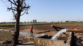 punjab farners, ludhiana, indian express