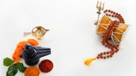 Maha Shivaratri 2024 Fasting Ritual and Rules: Dos and Donts