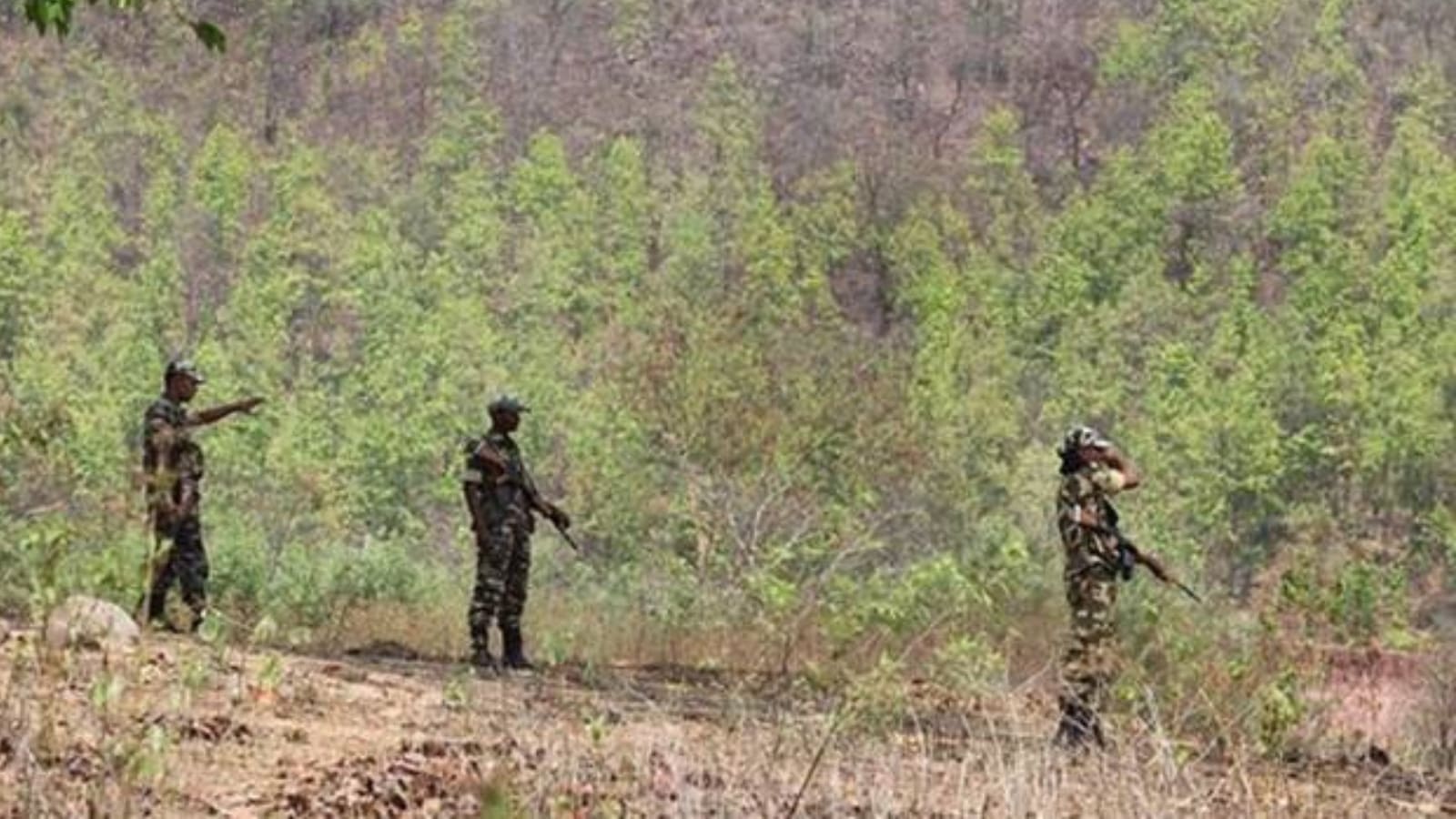 More Maoists Killed In Chhattisgarh So Far This Year Than Entire 2023 ...