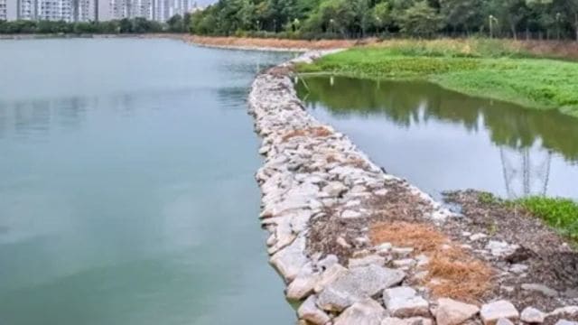 Kuchhangi lake Tumakuru